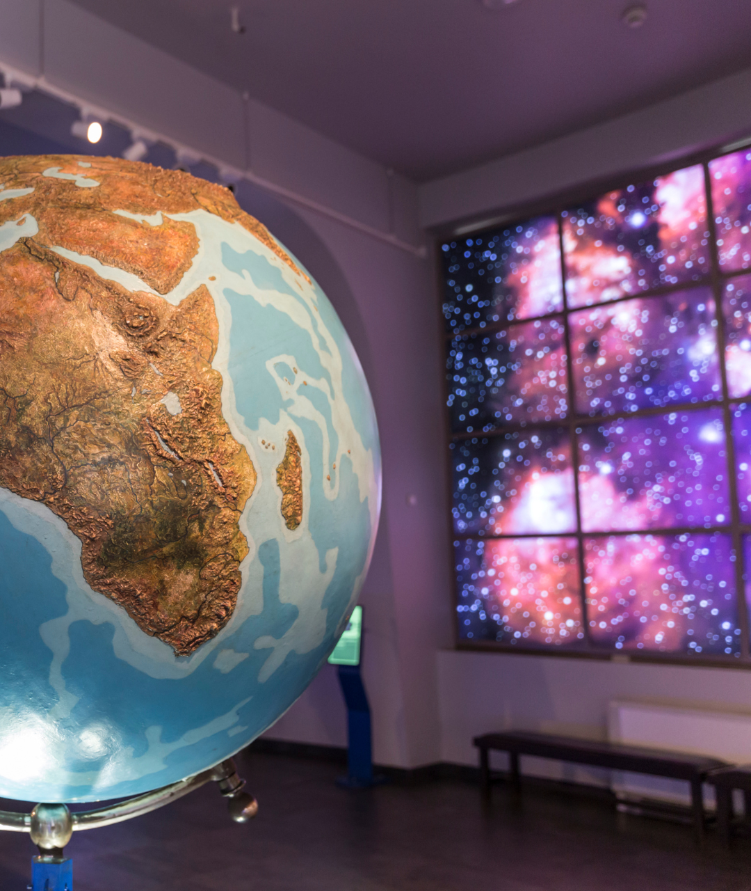 immersive experience